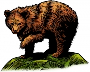 BearPu