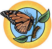ButterflyCaterpillarPu