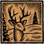 DeerHeadPu