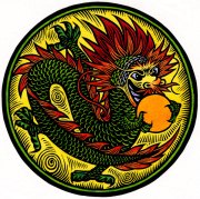 DragonPu