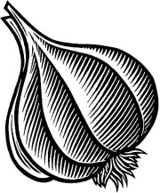 GarlicBulb