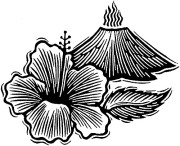 HibiscusVolcano