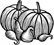 PumpkinSquash