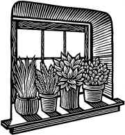 WindowsillPlants