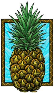 PineapplePu