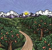 OrchardPu