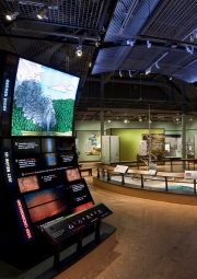 Yellowstone Park Visitors Center